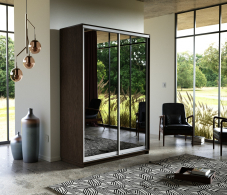 Шкафы-купе, Шкаф-купе Экспресс Экспенс дуо 2400 x 1400 x 600