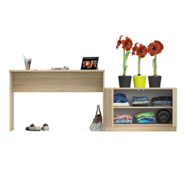 Стол письменный 1200 Мори с тумбой с дверками