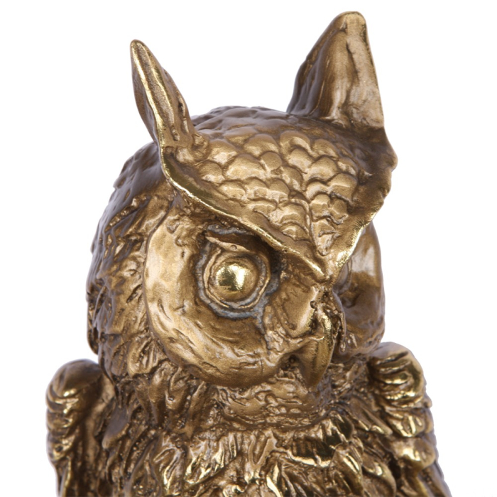 Сопутствующие товары, Питейный набор Ученый филин