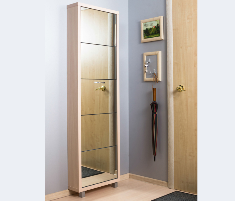 Обувницы, Шкаф обувной люкс зеркало