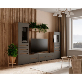 Шкаф Наоми ШК-24