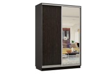 Шкафы-купе 2-х дверные, Шкаф-купе Премьер Лайт МИНИ 01 (02;01) двухдверный