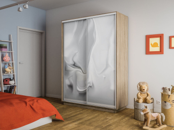 Шкаф-купе Экспресс 2-х дверный Фотопечать Шелк Стекла 120х45х240