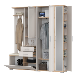 Корпусная мебель в прихожую Домино 5