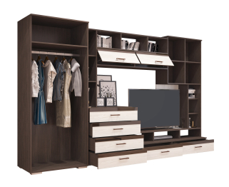 Гостиная МДФ Коста (венге / белый)