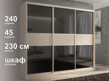 Шкаф-купе 3х дверный Кааппи 12 240х45