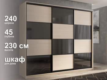 Шкаф-купе 3х дверный Кааппи 13 240х45