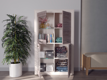 Шкаф-витрина 2V2D