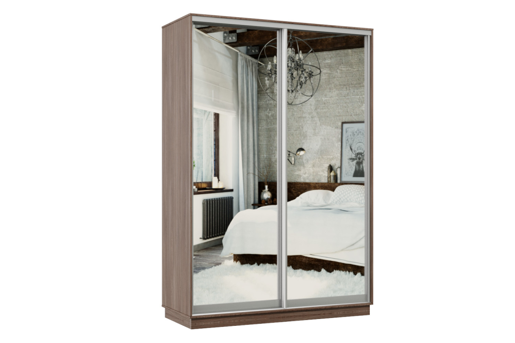 Шкафы-купе, Шкаф-купе Премьер Лайт 10 (01;01) двухдверный