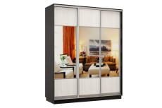 Шкафы-купе, Шкаф-купе Премьер Лайт 21 (05;05;05) трехдверный