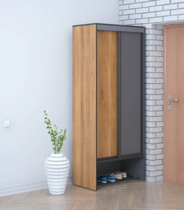 Шкафы-купе, Шкаф-купе Ольга Лофт 10.1 без зеркала