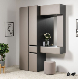 Шкаф комбинированный Сидней 13.18