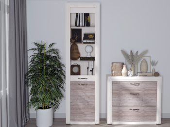 Шкаф-витрина 1V1D, OLIVIA