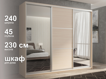 Шкаф-купе 3х дверный Кааппи 3 240х45
