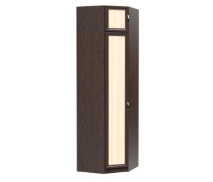 Шкаф угловой ШК-1/5+Антрисоль