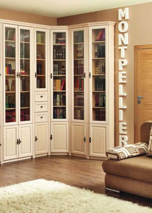 Закрытые, Шкаф для книг 10 MONTPELLIER