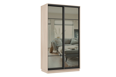 Шкаф-купе Премьер 04 (11ЗГ;11ЗГ) фасады зеркало графит/двухдверный/Профиль чёрный муар