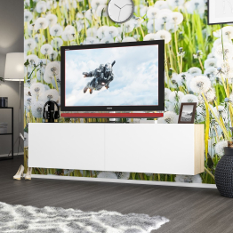 Тумба для телевизора подвесная РВК-1800