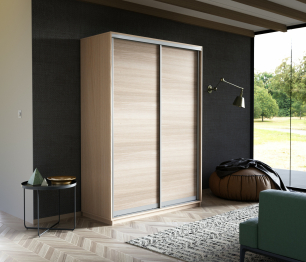 Шкаф-купе Экспресс Элемент дуо 2200 x 1200 x 600