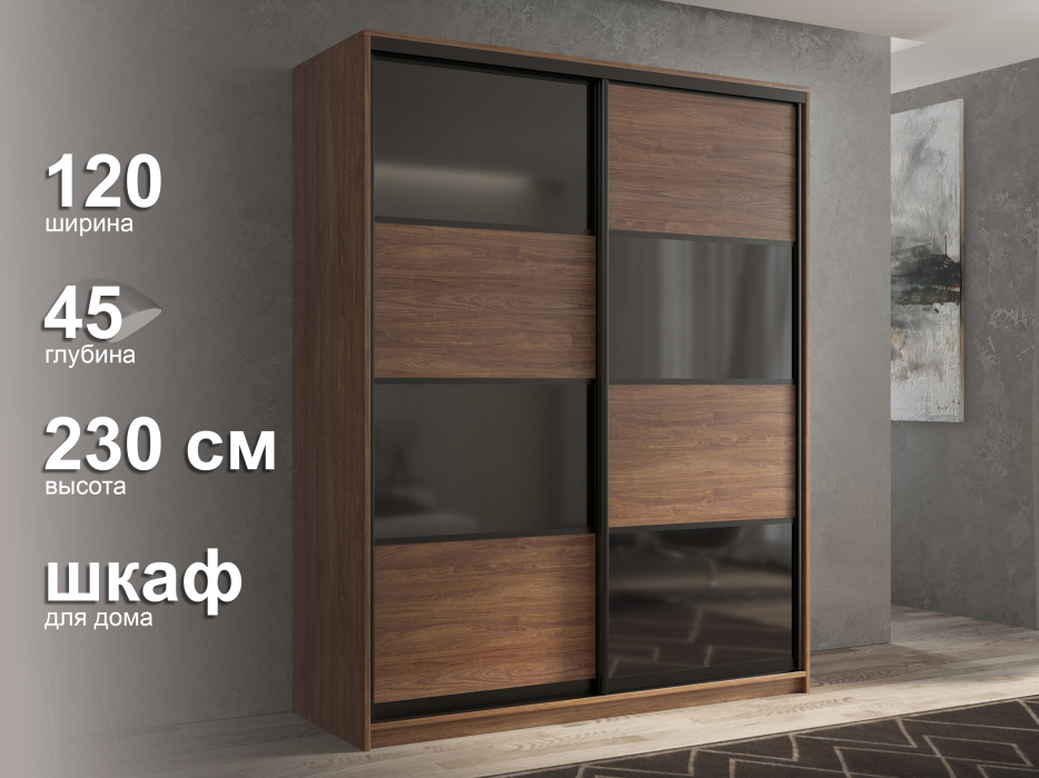 Шкафы-купе 2-х дверные, Шкаф-купе 2х дверный Кааппи 13 120х45