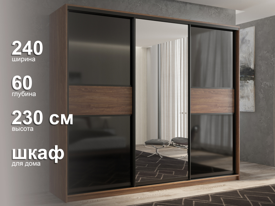 Шкафы-купе 3-х дверные, Шкаф-купе 3х дверный Кааппи 9 240х60