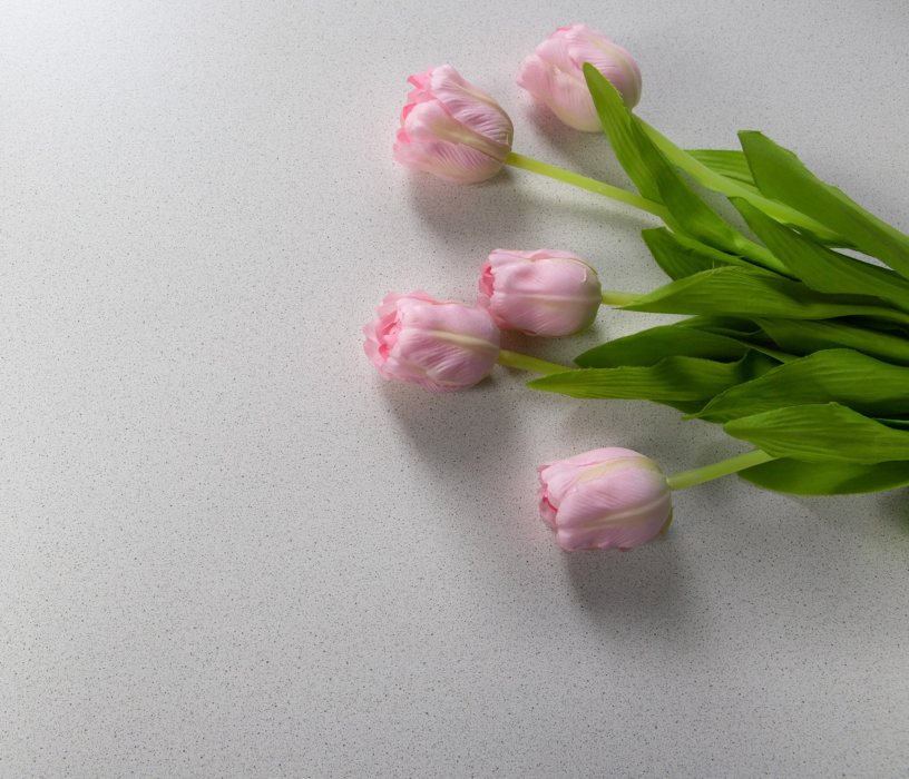 Обеденные группы, Обеденная группа ПФ/Цезарь