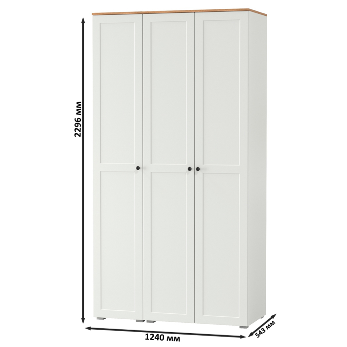 Прихожие, Шкаф для одежды и шкаф-пенал в прихожую Остин