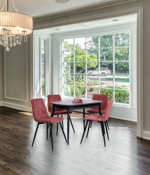 Обеденные группы, Обеденная группа Лидер/Фуджи эконом Графит