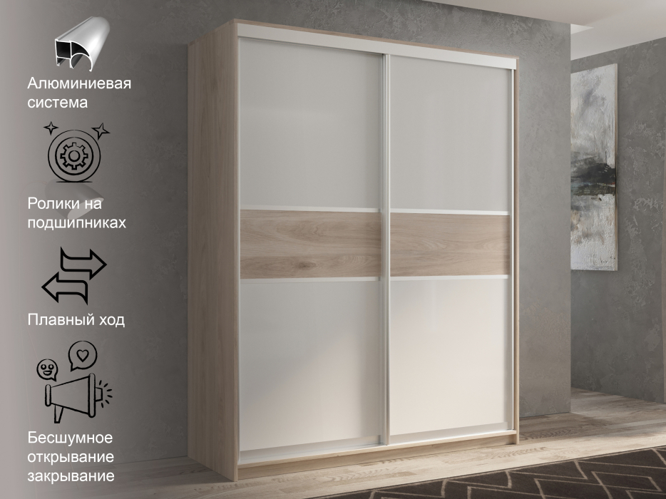 Шкафы-купе 2-х дверные, Шкаф-купе 2х дверный Кааппи 11 160х45