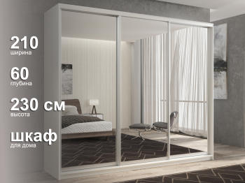 Шкаф-купе 3х дверный Кааппи 1 210х60