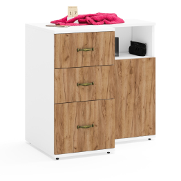 Тумба три ящика с тумбой с дверкой Лидер-8