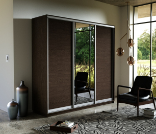 Шкаф-купе Экспресс Медиум (1 зеркало) трио 2400 x 2400 x 600