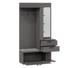 Эрика прихожая тип 2