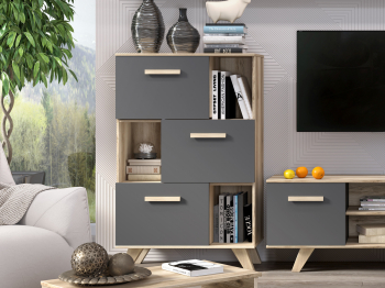 ВЕГА СКАНДИНАВИЯ гостиная Шкаф-стеллаж низкий 