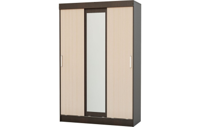 Шкаф-купе Бася