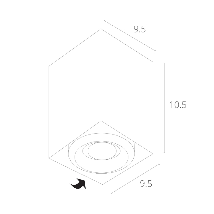 Люстра потолочная, Потолочный светильник PICTOR 1п