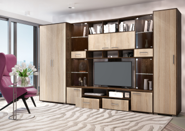 Гостиная Орхидея +ШКАФ+ПЕНАЛ (кантер / сонома)