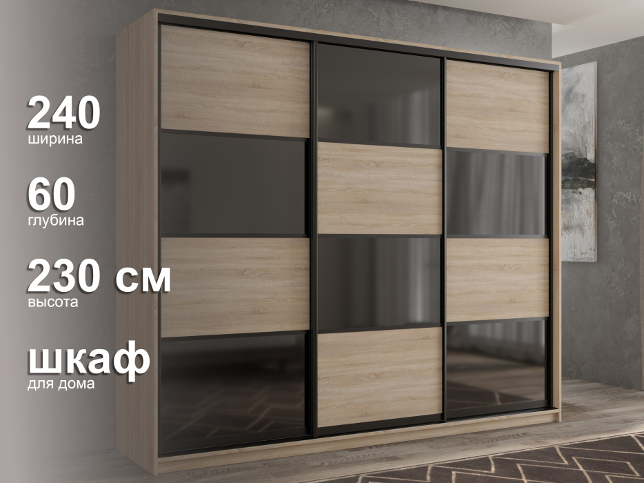 Шкафы-купе 3-х дверные, Шкаф-купе 3х дверный Кааппи 13 240х60