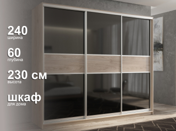 Шкаф-купе 3х дверный Кааппи 12 240х60