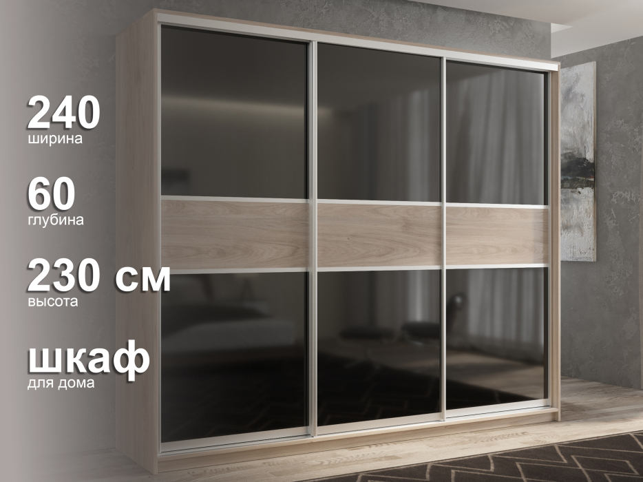 Шкафы-купе 3-х дверные, Шкаф-купе 3х дверный Кааппи 12 240х60