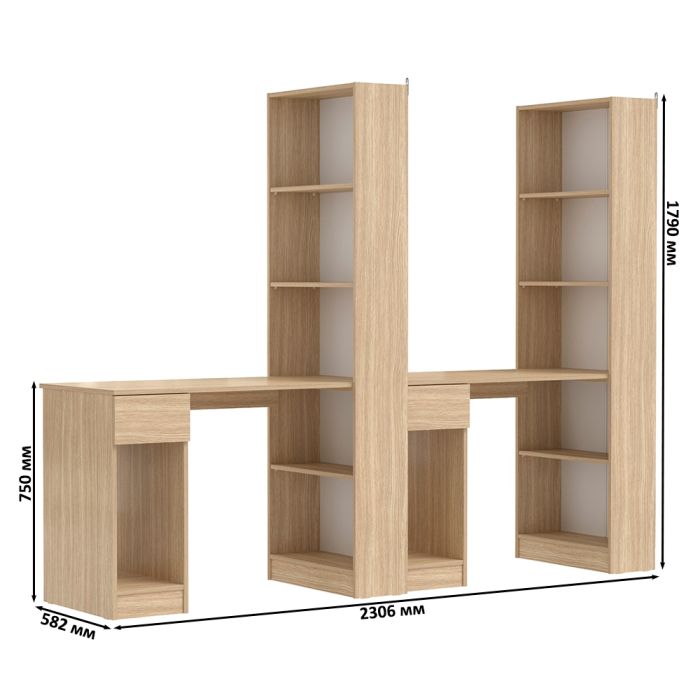 Прямые компьютерные столы, Два компьютерных стола со стеллажом Лайт 10.01