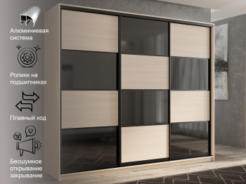 Шкаф-купе 3х дверный Кааппи 13 210х60