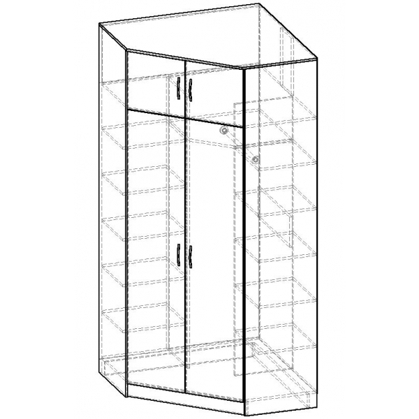 Для одежды, Шкаф распашной угловой ALISA-16 габарит 1100/1100х500/500х2400