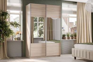 Шкаф-купе Smart 1622 2х дверный (фасады ЛДСП/зеркало) профиль серебро