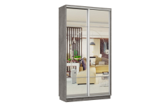 Шкафы-купе 2-х дверные, Шкаф-купе Премьер Лайт МИНИ 04 (11;11) двухдверный