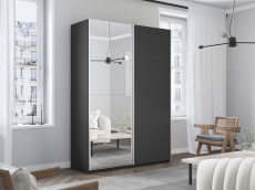 Шкафы-купе 2-х дверные, Шкаф Прайм дуо ДСП+зеркало 2300 х 1200 х 570