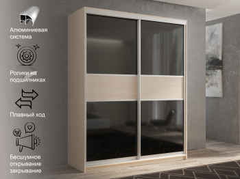 Шкаф-купе 2х дверный Кааппи 12 160х45