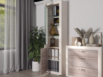 Шкаф-витрина 1V1D, OLIVIA