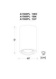 Потолочный светильник SENTRY
