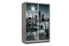 Шкафы-купе 2-х дверные, Шкаф-купе Премьер Лайт 09 Ф-1356 двухдверный